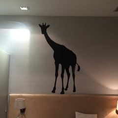 IMG 388